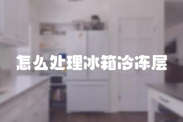 怎么处理冰箱冷冻层