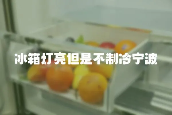 冰箱燈亮但是不制冷寧波