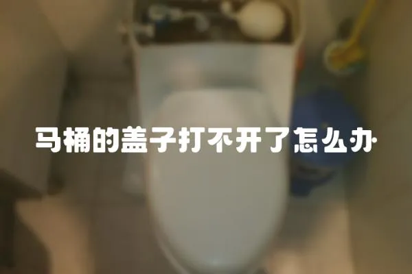 馬桶的蓋子打不開(kāi)了怎么辦