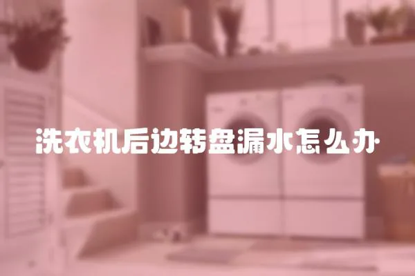 洗衣機后邊轉盤漏水怎么辦