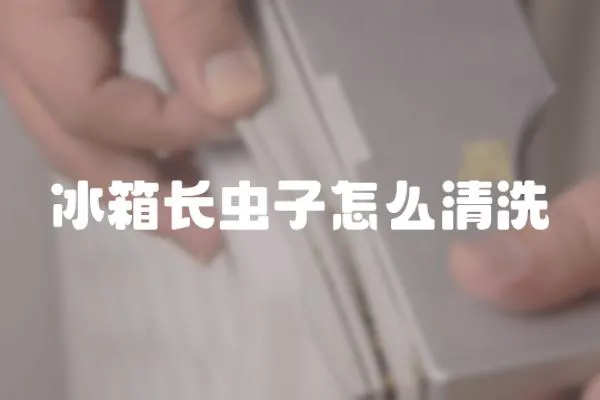 冰箱長蟲子怎么清洗
