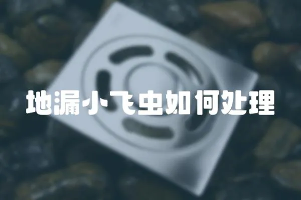 地漏小飛蟲如何處理