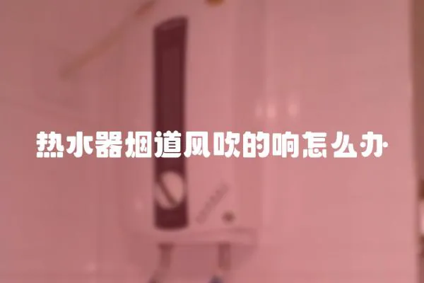 熱水器煙道風(fēng)吹的響怎么辦