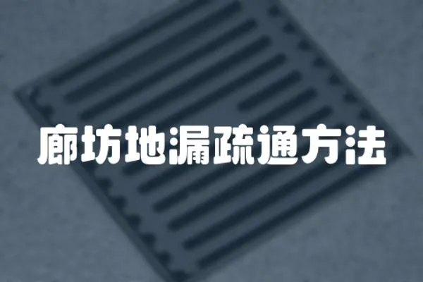 廊坊地漏疏通方法