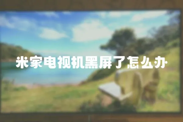 米家電視機(jī)黑屏了怎么辦