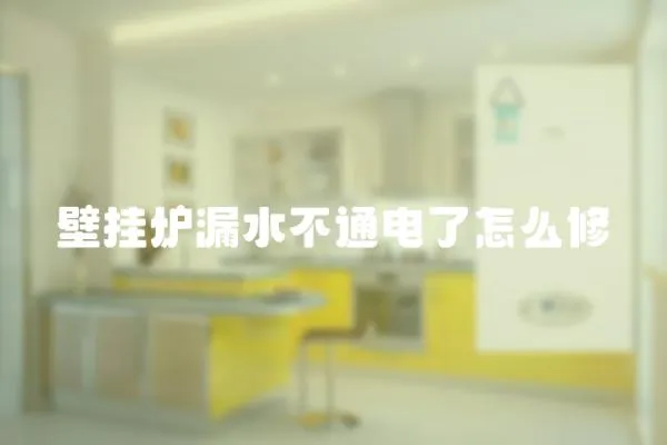 壁掛爐漏水不通電了怎么修