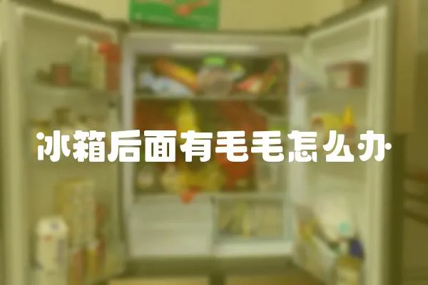 冰箱后面有毛毛怎么辦
