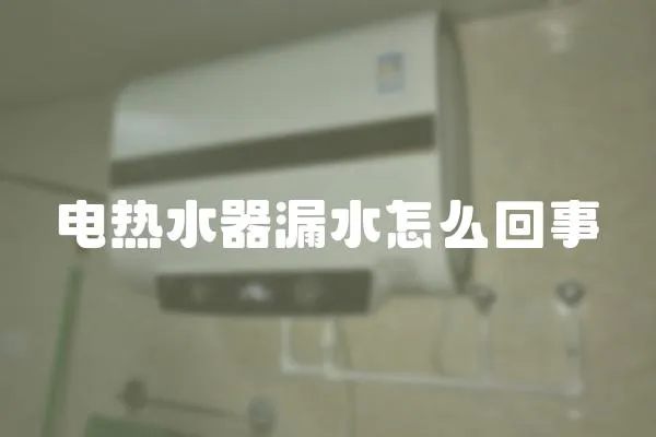 電熱水器漏水怎么回事