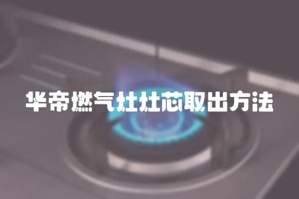 華帝燃氣灶灶芯取出方法