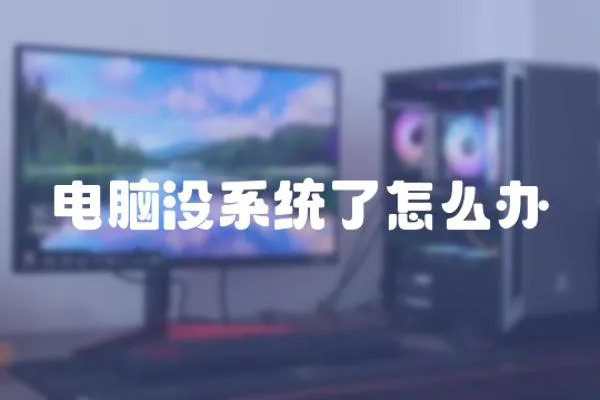 電腦沒系統了怎么辦