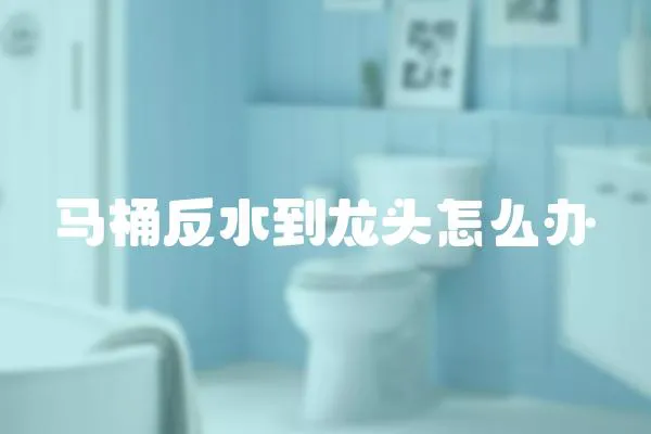 馬桶反水到龍頭怎么辦