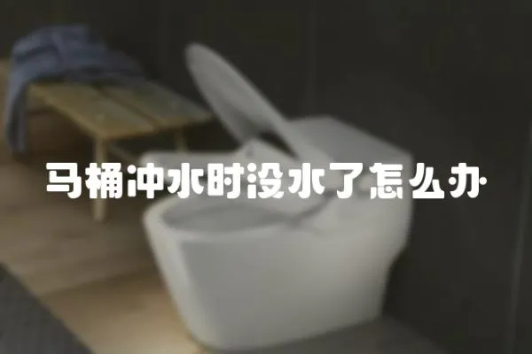 馬桶沖水時沒水了怎么辦