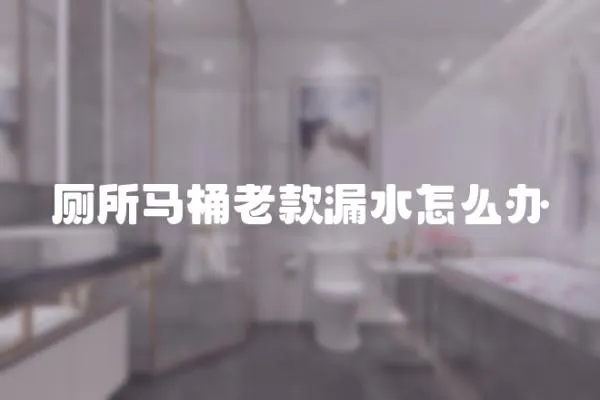 廁所馬桶老款漏水怎么辦