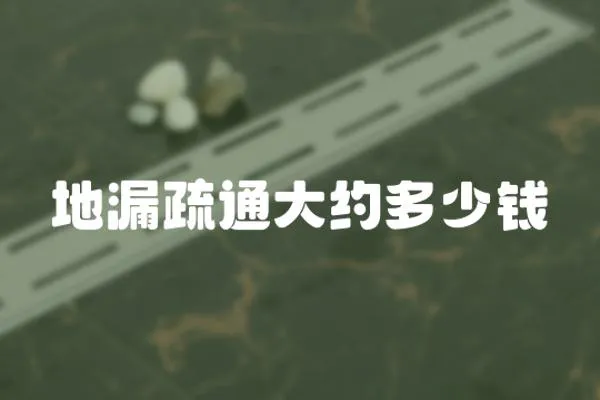 地漏疏通大約多少錢