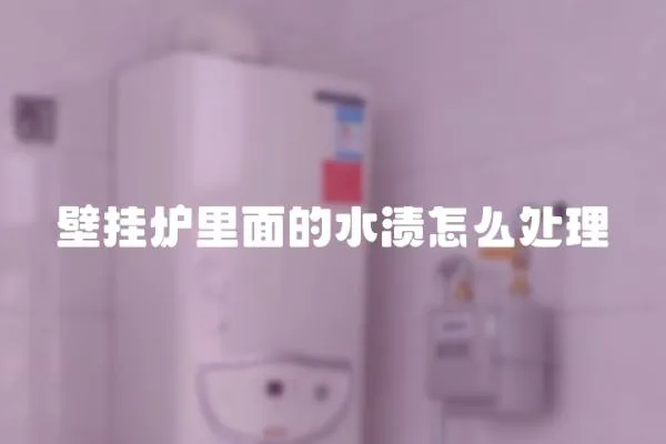 壁掛爐里面的水漬怎么處理