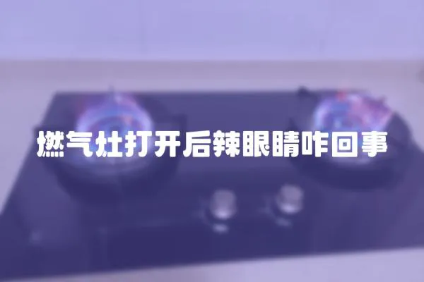 燃?xì)庠畲蜷_(kāi)后辣眼睛咋回事