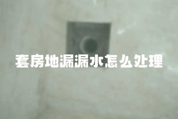 套房地漏漏水怎么處理