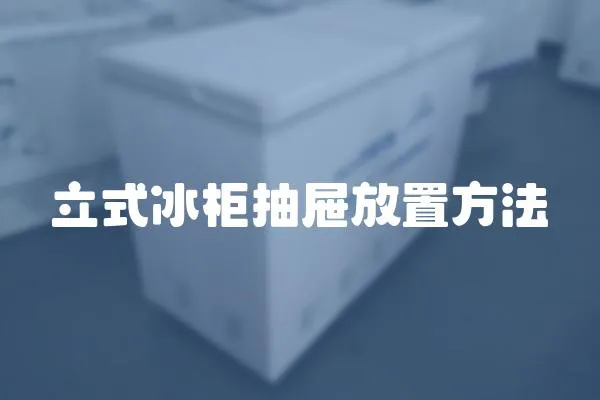 立式冰柜抽屜放置方法