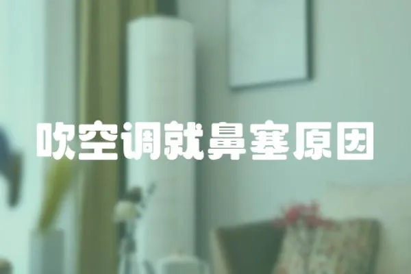 吹空調(diào)就鼻塞原因