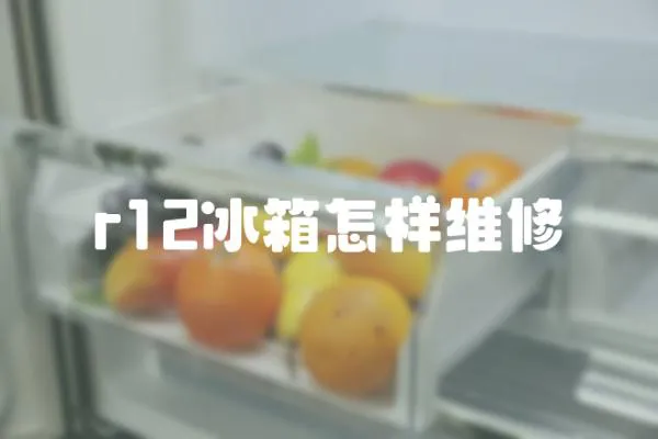 r12冰箱怎樣維修