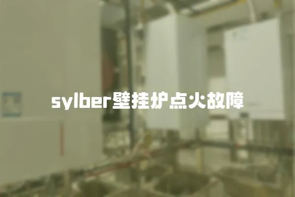 sylber壁掛爐點火故障