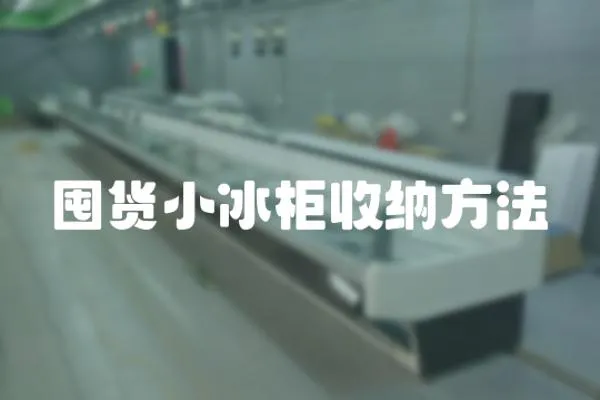 囤貨小冰柜收納方法