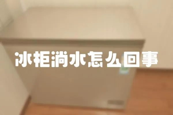 冰柜淌水怎么回事