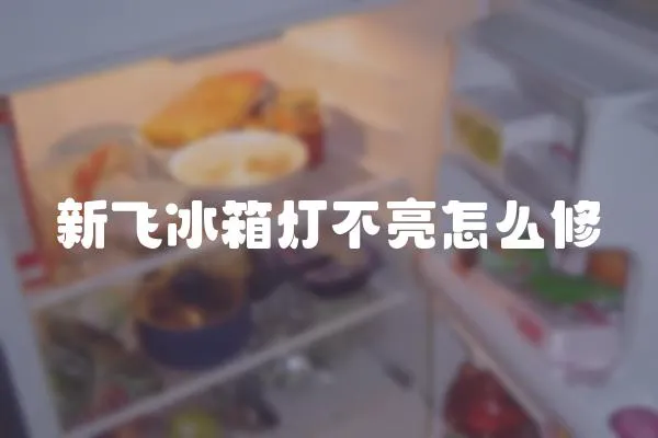 新飛冰箱燈不亮怎么修