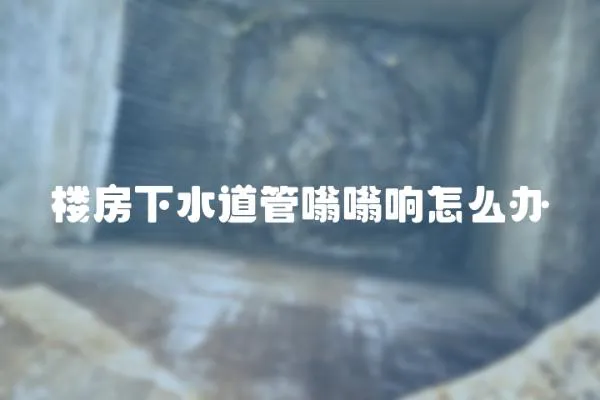 樓房下水道管嗡嗡響怎么辦