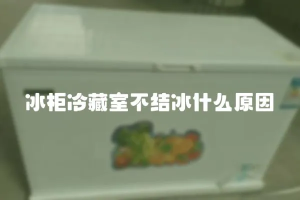 冰柜冷藏室不結冰什么原因