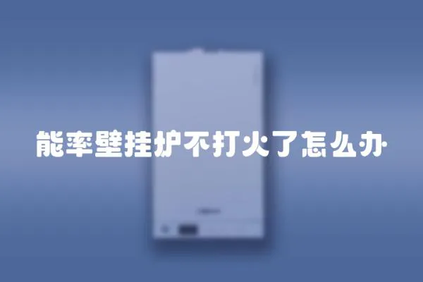 能率壁掛爐不打火了怎么辦