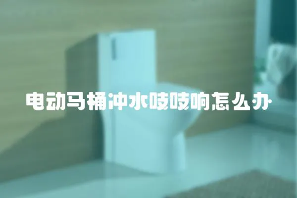 電動馬桶沖水吱吱響怎么辦