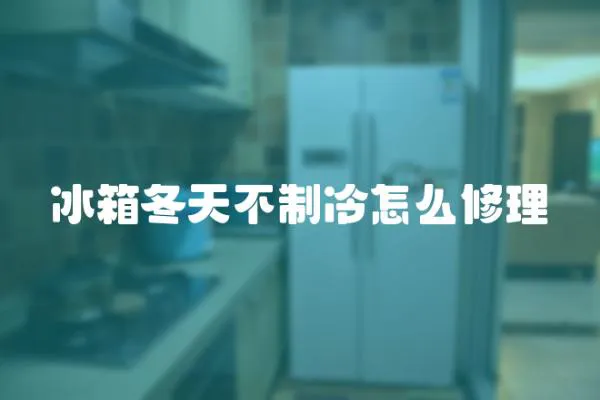 冰箱冬天不制冷怎么修理