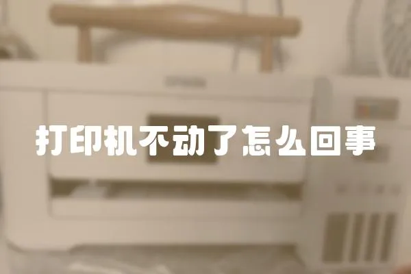 打印機(jī)不動(dòng)了怎么回事