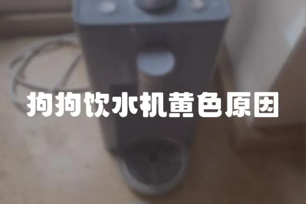 狗狗飲水機黃色原因