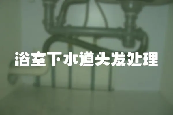 浴室下水道頭發處理