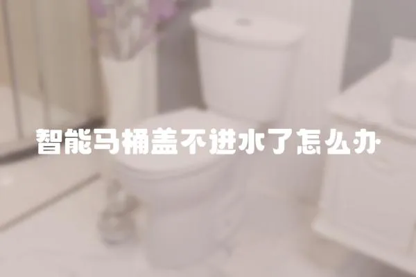 智能馬桶蓋不進(jìn)水了怎么辦