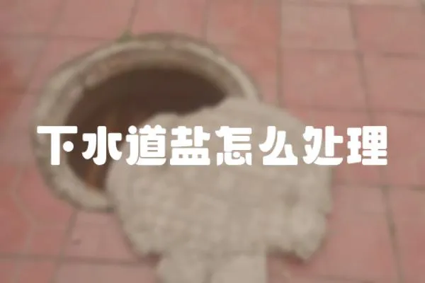 下水道鹽怎么處理