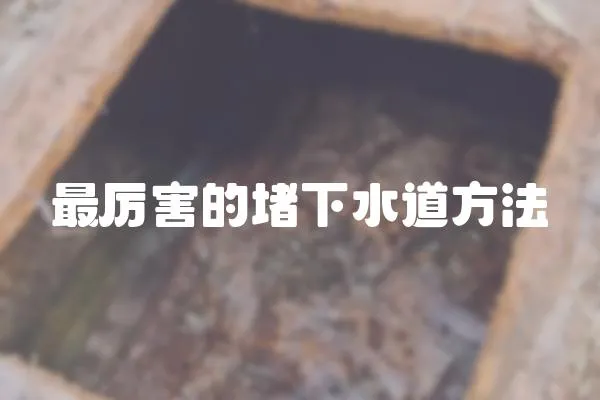 最厲害的堵下水道方法