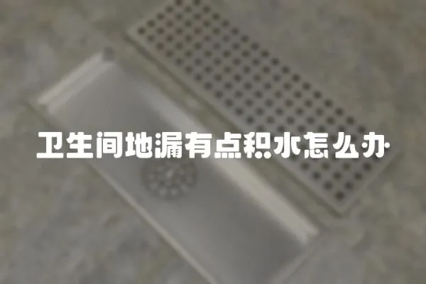 衛(wèi)生間地漏有點(diǎn)積水怎么辦