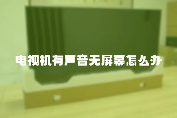 電視機(jī)有聲音無屏幕怎么辦