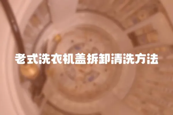 老式洗衣機蓋拆卸清洗方法