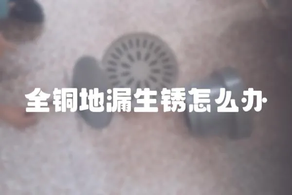 全銅地漏生銹怎么辦