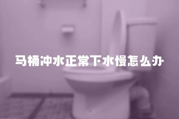 馬桶沖水正常下水慢怎么辦