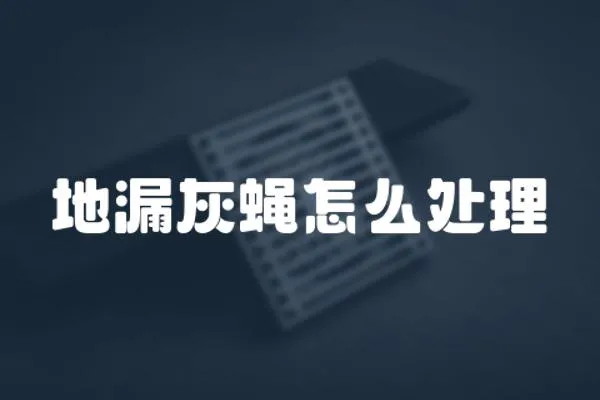 地漏灰蠅怎么處理