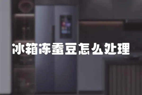 冰箱凍蠶豆怎么處理