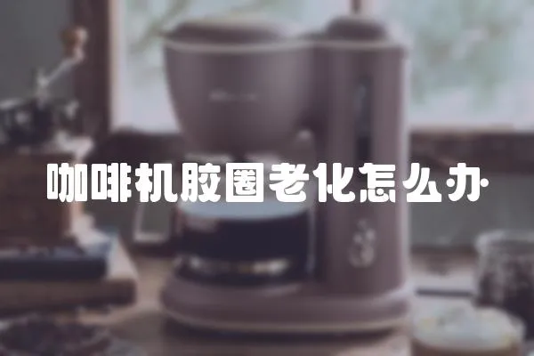 咖啡機膠圈老化怎么辦