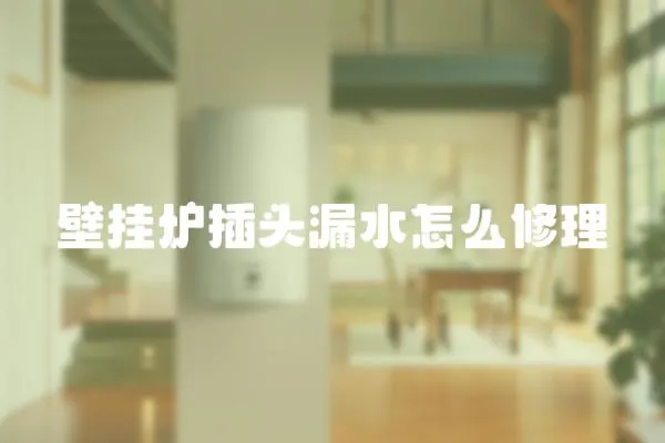 壁掛爐插頭漏水怎么修理