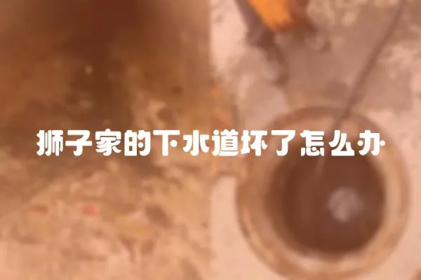 獅子家的下水道壞了怎么辦