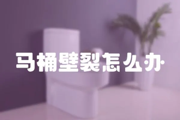 馬桶壁裂怎么辦